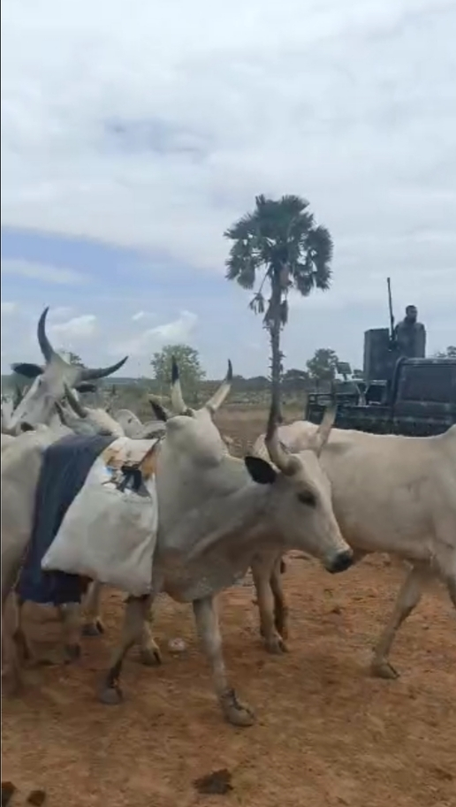 Nigerian Army Complicit in Terror Attacks Near Jos