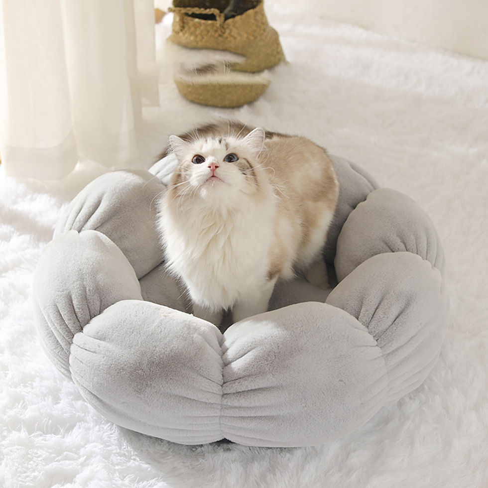 Thumbnail: Universal Washable Cat and Dog Bed