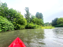 Canoë devant l'entrée de la lône secondaire des Molottes en Isère