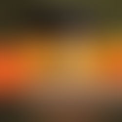 Marzy mi się stworzenie małego zielarskiego ogrodu... - wywiad z Małgorzatą Gajdamowicz 