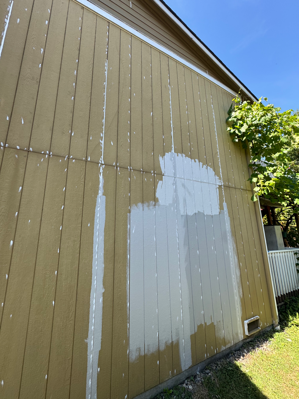 Lake Stevens Paint Samples