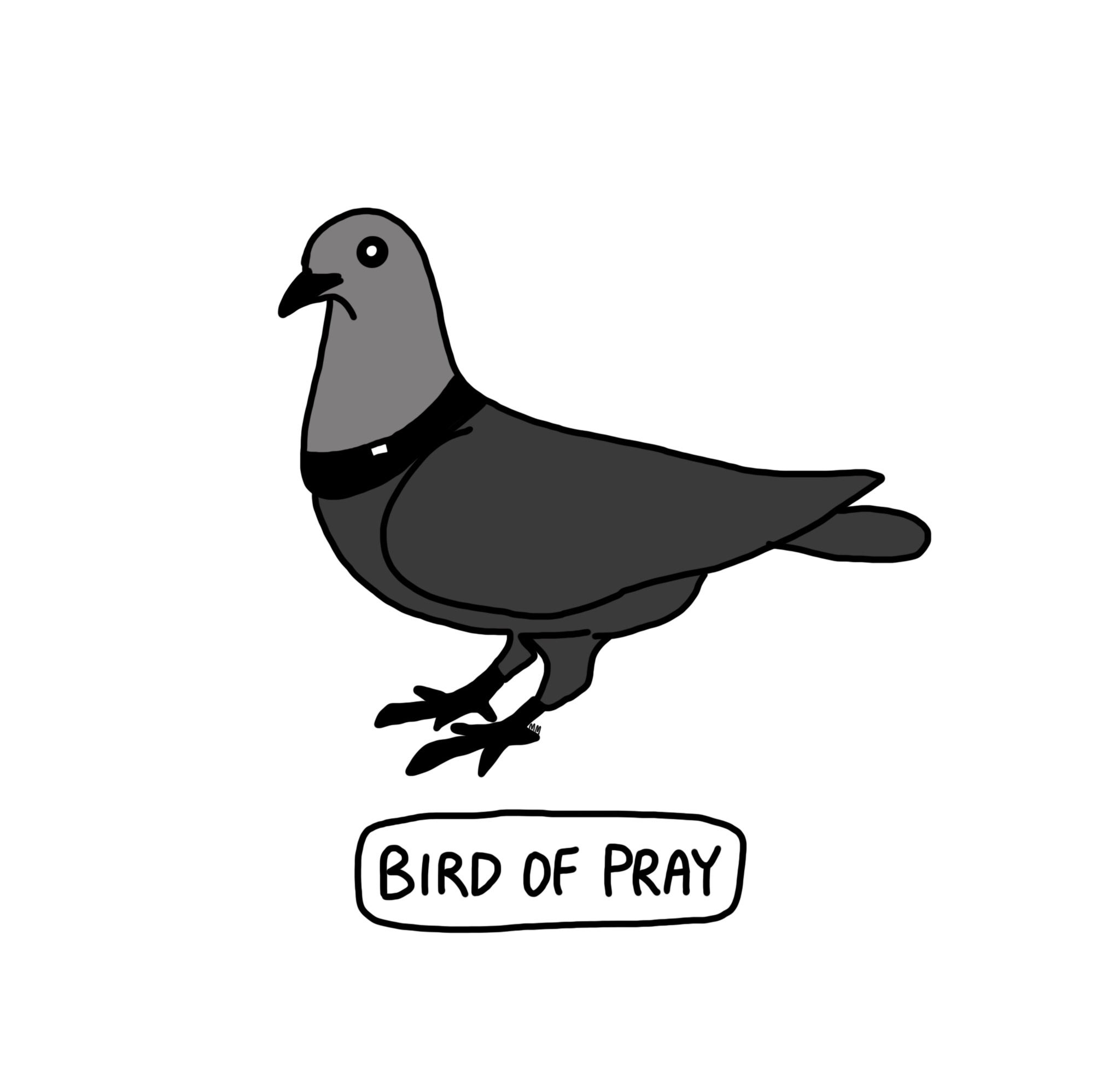 Bird of Pray