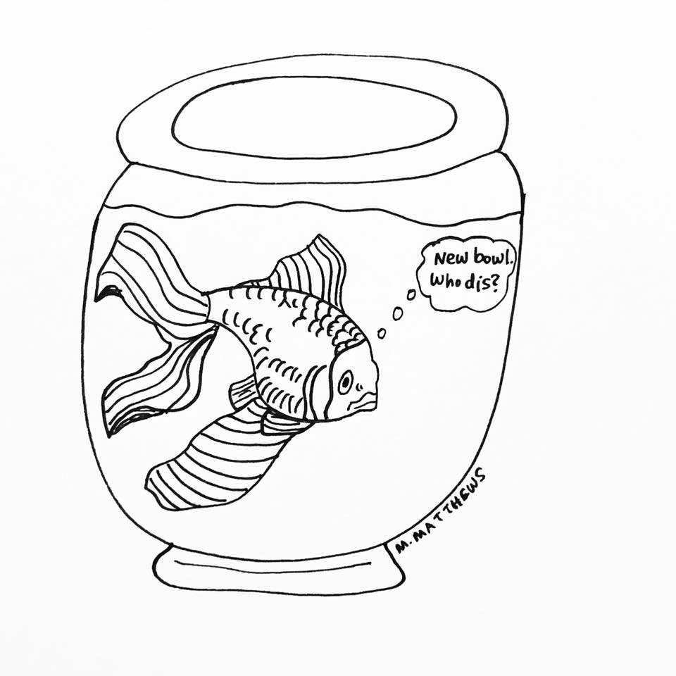 Fish Bowl