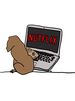 Nutflix