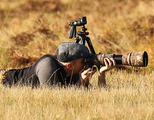 Photographer with a long lens capturing a shot in the field, demonstrating a keen focus and professional approach to wildlife