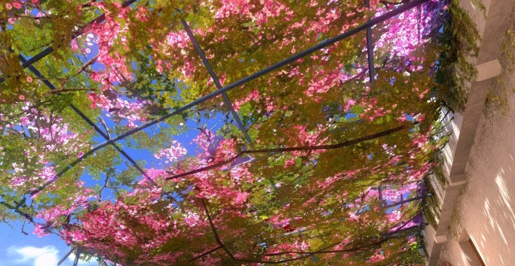 AVA03.gif