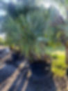 20240813_082552.jpg