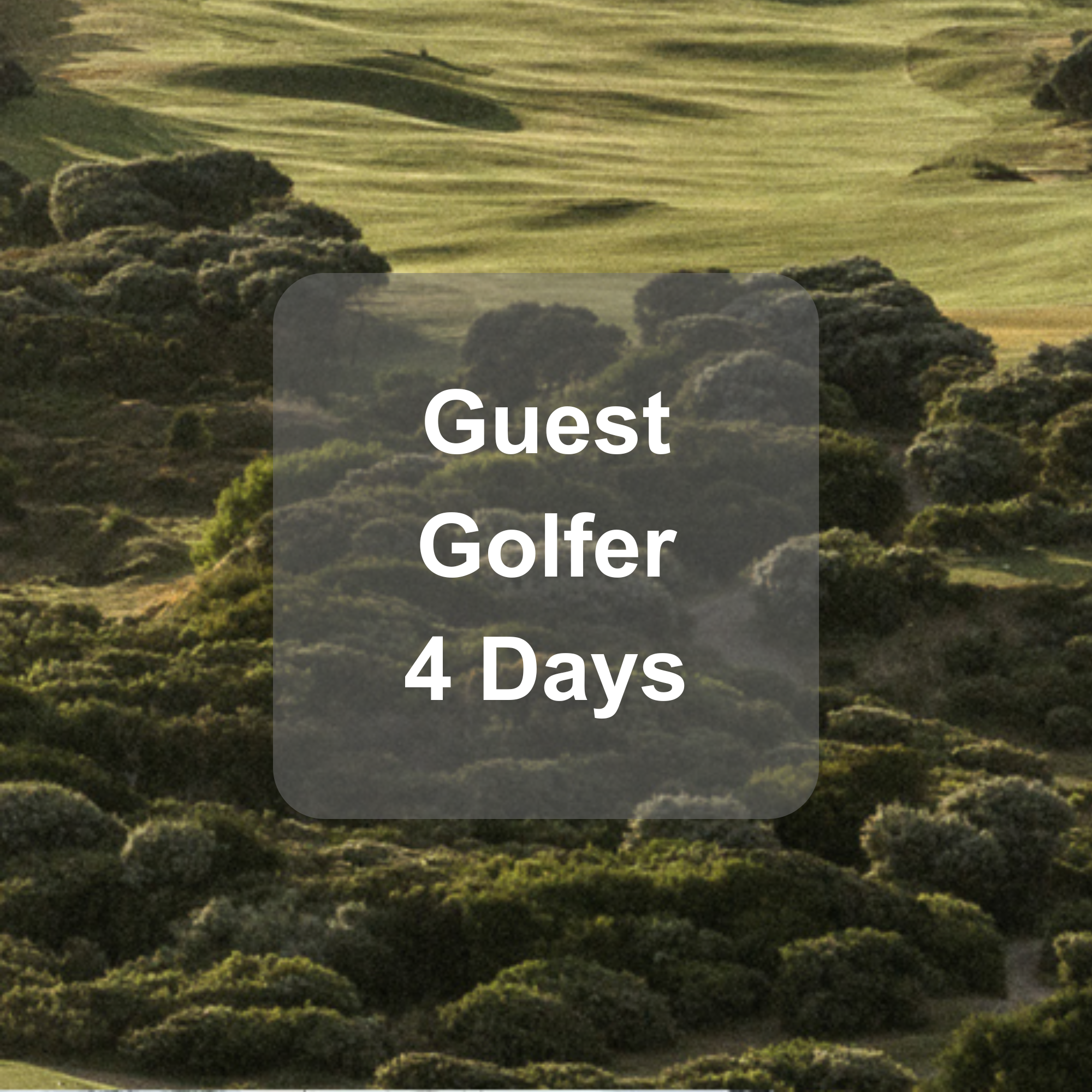Guest Golfer - 4 Days