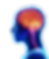Kirby Neuroscience of Meditation
