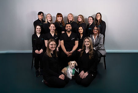 Team group photo