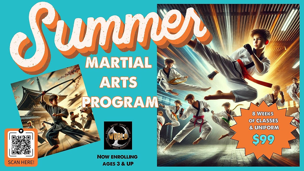 8 Week Martial Arts Summer Program