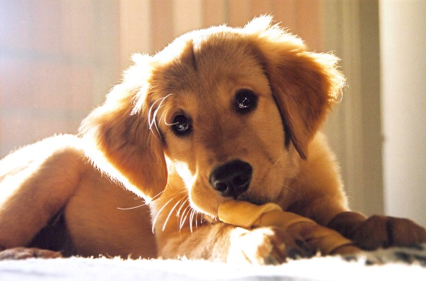 What do you mean, you’ve had enough of the horrendous, sickening news?