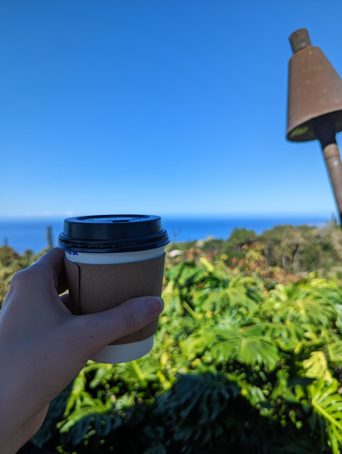 woman's hand holding up coffee cup with view of ocean in background