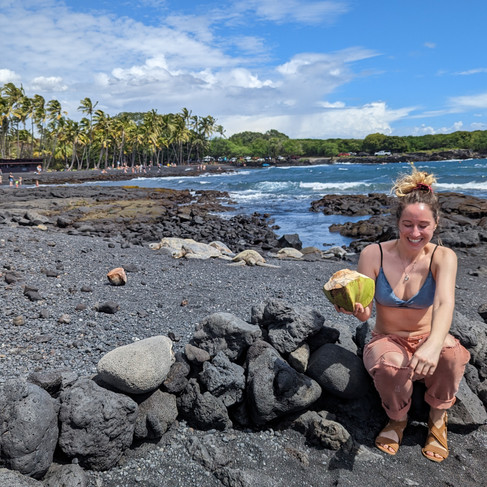 woman in foreground wearing peach colored pants and black bikini top holding a coconut. in background, sea turtles sun bathe on the black sand beach with multiple palm trees in the distance