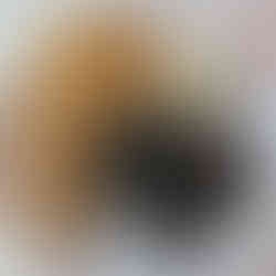 plate of food containing french fries, banana leaf wrapped pork, and macaroni salad