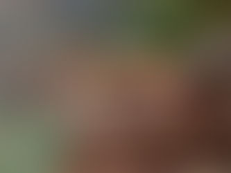 The past is present as young descendants of 1850 Métis Petition witness historic signing