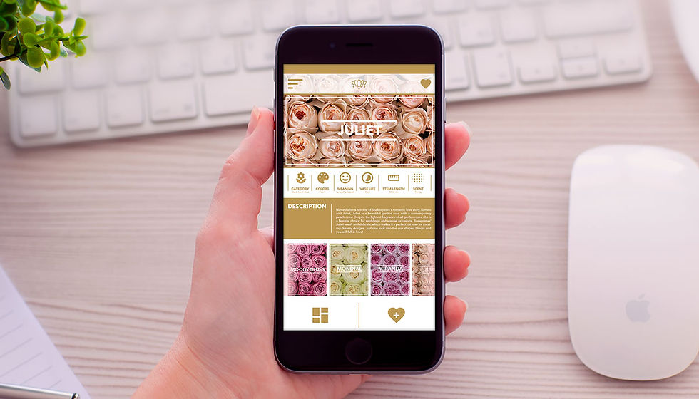 APP Floricultura
