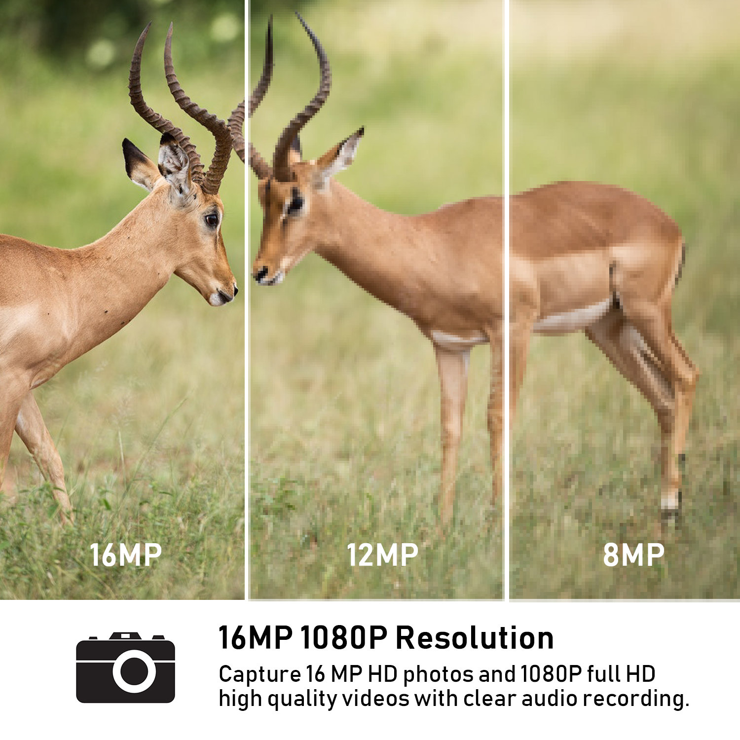 16mp trail camera