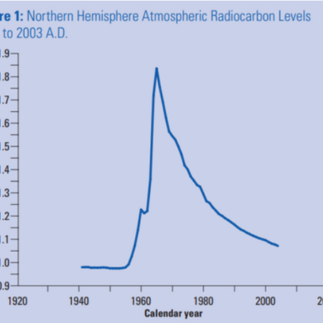 How do forensic chemists use carbon dating to obtain more information about cases?