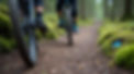 Home-Our Mission-1.jpg