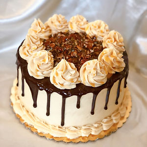 Turtle Cake