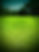 197059595_127832462722956_2268850730635385478_n.jpg