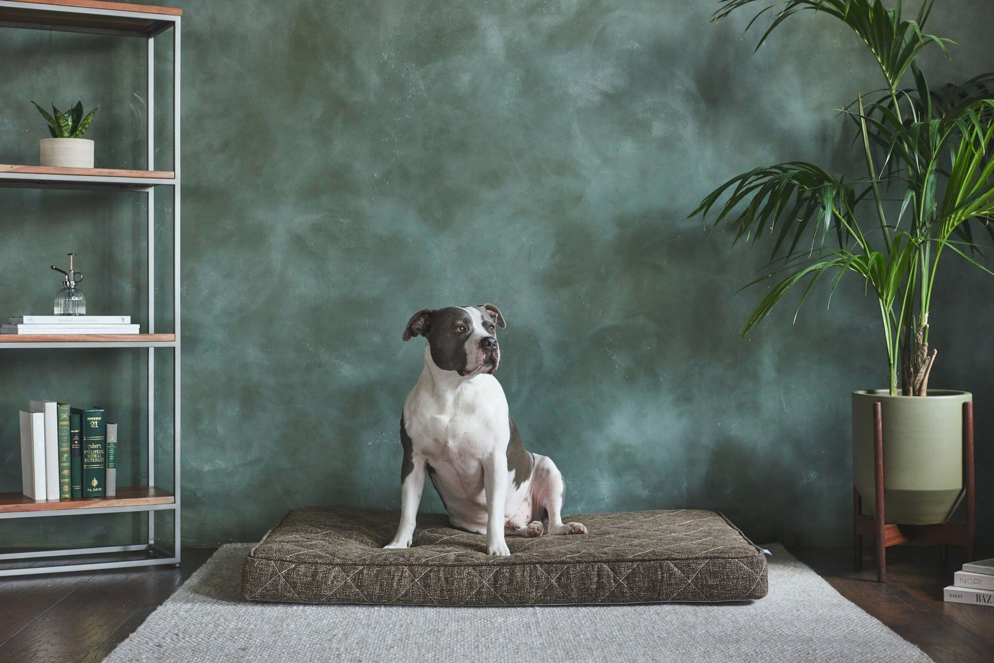 Waterproof Dog Bed