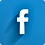 Facebook Long Shadow