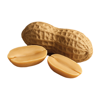 peanut butter ingredients-51.png