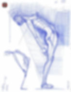Die Gestalt Des Menchen (XXXV) Dynamic Human Anatomy Figure Sketch