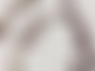 Flowers I like (for my garden)