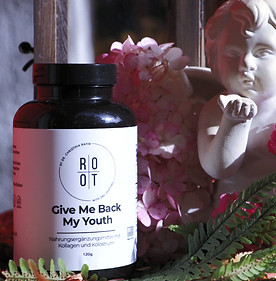 GMBMY / Give me back my youth