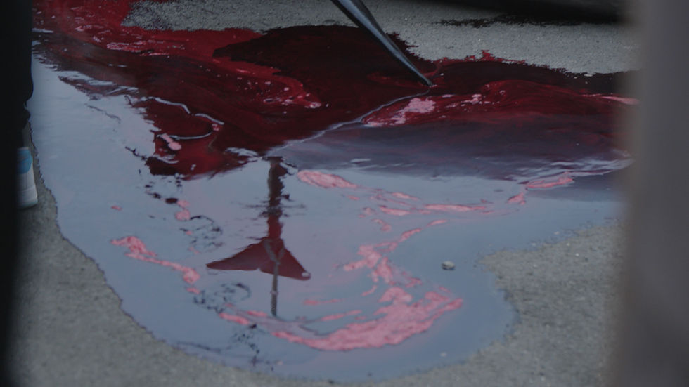 Sea Shepherd: Grindadrap auf den Färöer Inseln