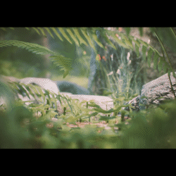 Ep 04.gif