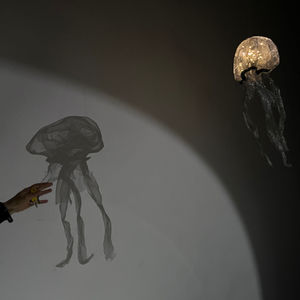 Medusas