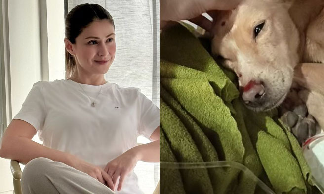 Si Carla at si Puppy - Carla Abellana