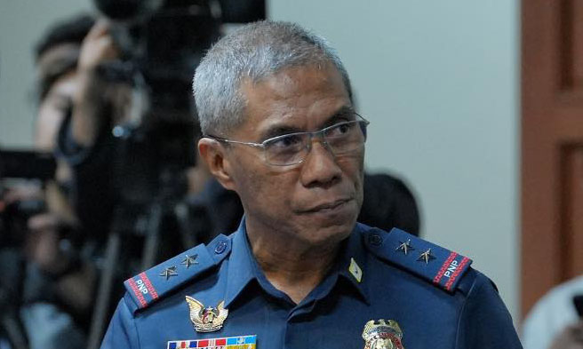 chief Police Major General Nicolas Torre III - Senate of the Philippines - Joseph Vidal
