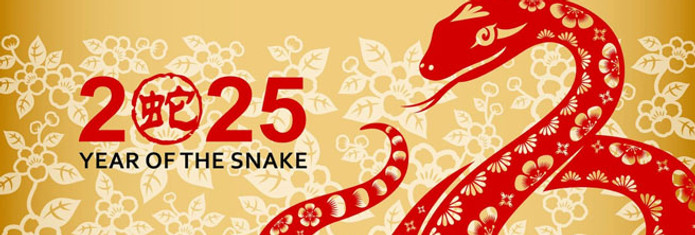 2025_ Year of the Wood Snake