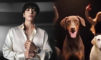 K-pop Jungkook - Courtesy _mnijungkook & _bowwow_bam - IG.jpg