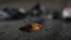 Crash collision aftermath on the road - FP.jpg