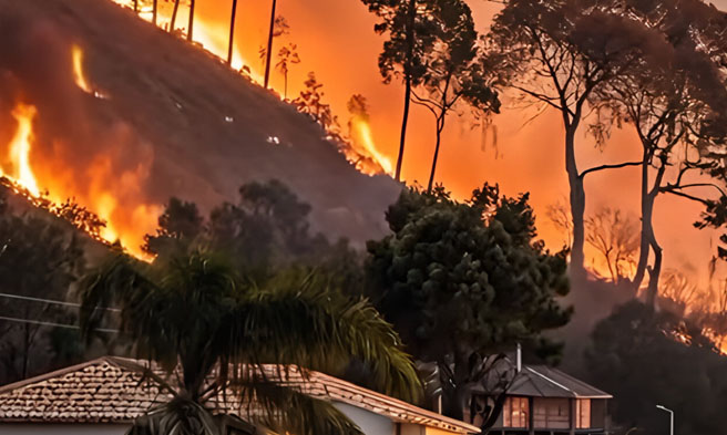 Los Angeles wildfire - Circulated