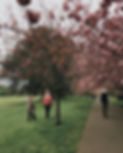 Elder Couple Walking