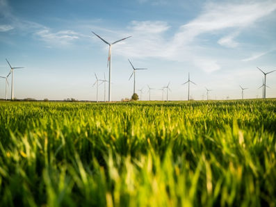TI Verde: como os Data Centers estão se redefinindo diante do avanço da Inteligência Artificial