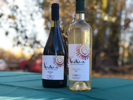 🍷 Did you know that one of the world’s southernmost wines is produced in the heart of Chilean Patagonia?