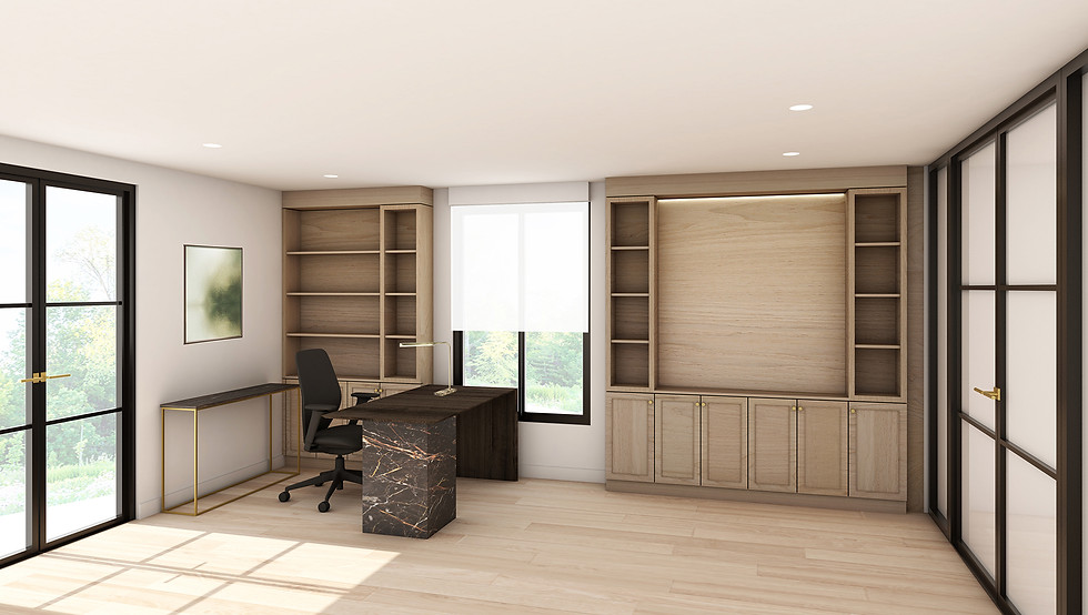 office opt1a.jpg