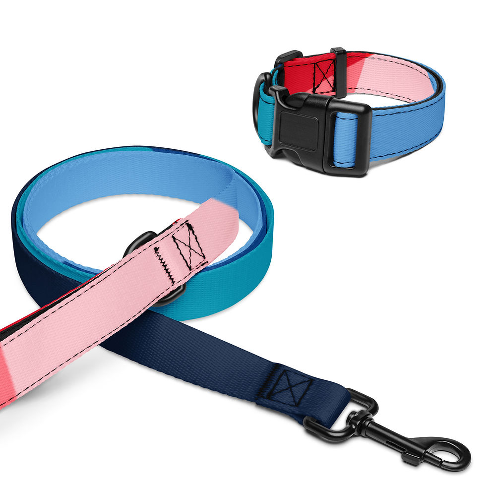 Miniatura: Pet collar & leash