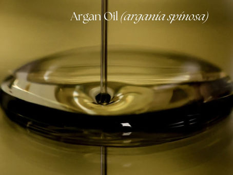 Argan Oil (Argania spinosa)