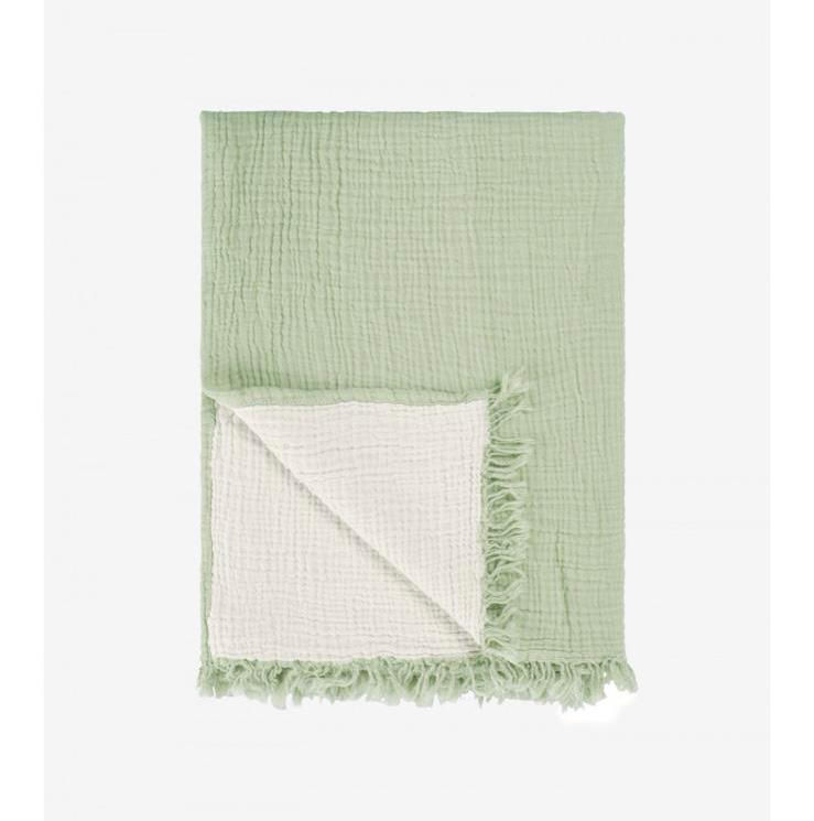 כירבולית Dream pistachio 