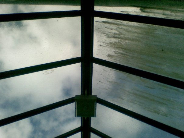 Commercial Window Cleaning