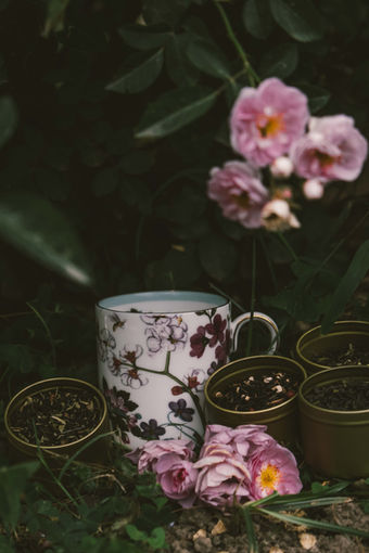Teabox x Good Earth Photography by Sneha Kar